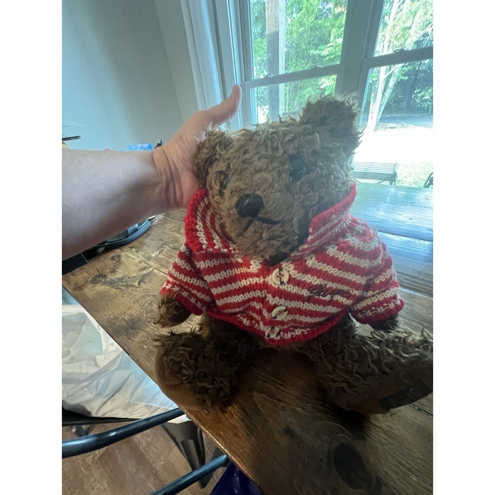 Giorgio Beverly Hills 1996 Collectors Bear Brown Shaggy Teddy Plush 14" Red Swea